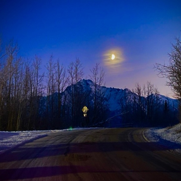 Meet your Posher, Annette - Picture 8 of 13